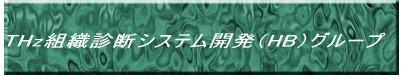 THz組織診断システム開発(HB)グループ