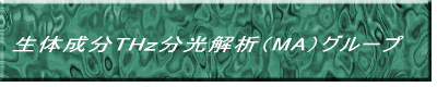 ���̐���TH��������́iMA�j�O���[�v