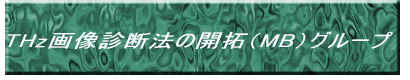 THz�摜�f�f�@�̊J��iMB�j�O���[�v