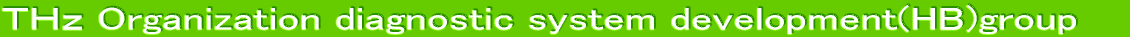 �s�g�� spectrum system development (HA)group 